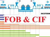 So sánh FOB và CIF trong Incoterms 2010 có gì giống và khác nhau?